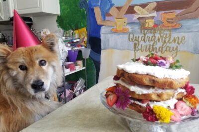 Birthday
